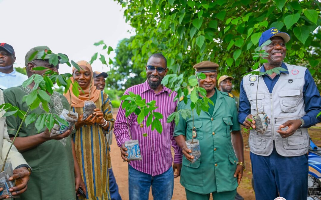 Préservation de la nature : L’Université de Kindia se mobilise pour le reboisement de la forêt classée de Koukou