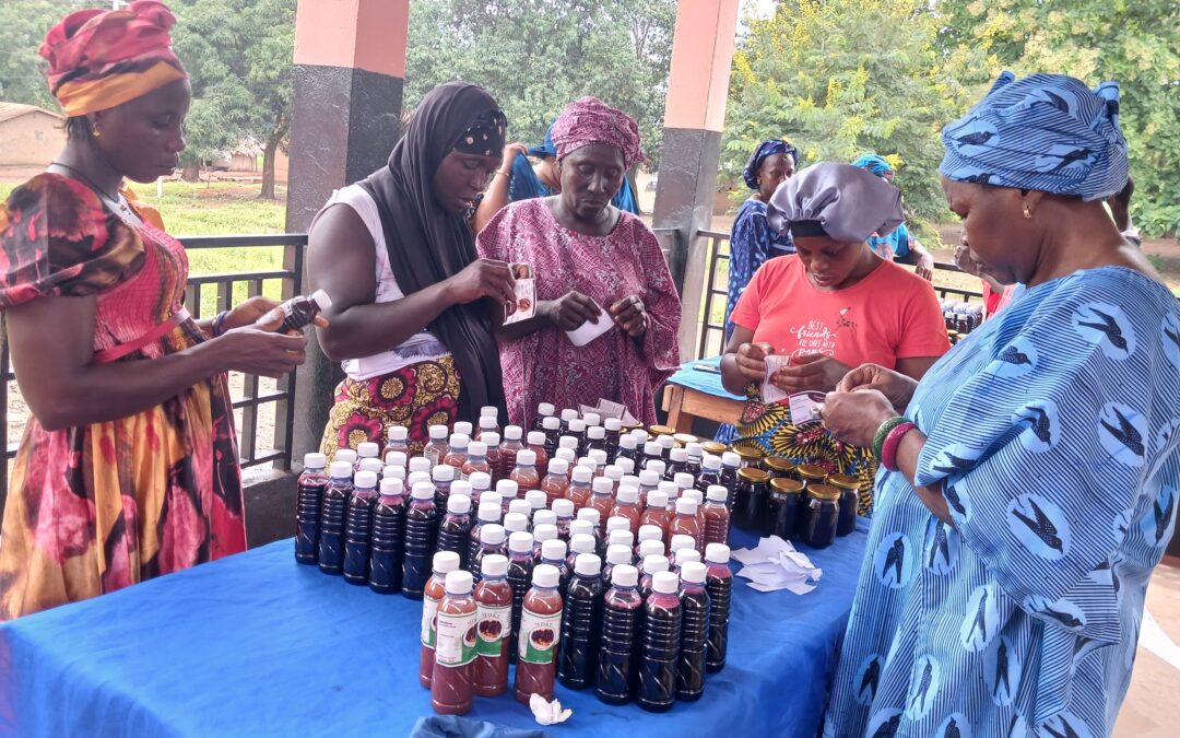 Kindia : à Madina-Oula, le CECI forme les femmes à la transformation agroalimentaire pour renforcer leur autonomie économique